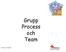 Grupp Process och Team. Vt-2014, M.Nisell