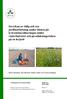 Inverkan av tidig och sen jordbearbetning under hösten på kvävemineraliseringen under vinterhalvåret och på utlakningsrisken på en lerjord