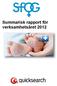 Summarisk rapport för verksamhetsåret 2012