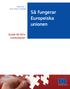 INSYN I EU POLITIKEN. Så fungerar. Europeiska unionen. Guide till EU:s institutioner