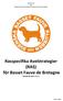 Rasspecifika Avelstrategier (RAS) för Basset Fauve de Bretagne. Reviderad 2012-12-11