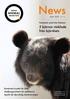 5 björnar räddade från björnhets