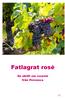 Fatlagrat rosé. En skrift om rosévin från Provence