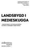 LANDSBYGD I MEDIESKUGGA