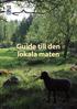 Guide till den lokala maten