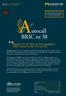 utocall BRIC nr 38 Möjlighet till det bästa av hela uppgången i BRIC-länderna eller 25 % per år. 3