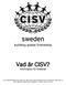 Vad är CISV? Information för föräldrar
