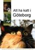 Att ha katt i Göteborg