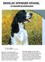 ENGELSK SPRINGER SPANIEL - en kamouflerad arbetsmaskin