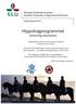 Hippologprogrammet Inriktning Islandshäst
