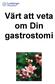 Värt att veta om Din gastrostomi