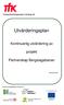 Utvärderingsplan. Kontinuerlig utvärdering av. projekt. Partnerskap Bergslagsbanan. Transportforskningsgruppen i Borlänge AB.