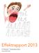 Effektrapport 2013. Stiftelsen Teskedsorden. Org nr 802425-9361