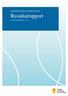 PROGRAM FÖR HÅLLBAR JÄMSTÄLLDHET. Resultatrapport FÖR PERIODEN 2011 2013. Resultatrapport 1