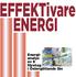 EFFEKTivare ENERGI. Energianalys. av 6 företag i Östergötlands län