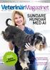 SUNDARE HUNDAR MED AI