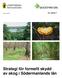 Strategi för formellt skydd av skog i Södermanlands län