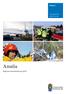 Rapport. Diarienummer 455-6102-09. Amalia