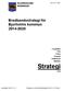 Strategi. Bredbandsstrategi för Bjurholms kommun 2014-2020 KS14-371 003. Föreskrifter Plan Policy Program Reglemente Riktlinjer.