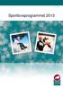 Sportlovsprogrammet 2013. www.avesta.se