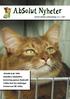 AbSolut Katt 2006 Stimulera innekatten Kastrering genom ﬂanksnitt Vridna ben hos kattungar Drömresan till Afrika