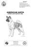 AMERICAN AKITA. (tidigare great japanese dog)