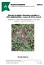 1 Institutionen för skogens ekologi och skötsel. Vaccinium myrtillus