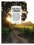 Napa Valley, en timmes