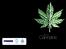 Cannabis. Lathund om. www.nbv.se