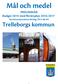 Mål och medel PRELIMINÄR Budget 2015 med flerårsplan 2016-2017 Kommunstyrelsens förslag 2014-06-04 Trelleborgs kommun