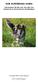 DIN RUMÄNSKA HUND. Information till dig som ska eller har adopterat en hund genom Hundhjälpen. Copyright 2009 Caroline Berggren