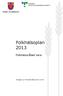 Folkhälsoplan 2013. Folkhälsorådet Vara. Antagen av Folkhälsorådet 2012-10-04