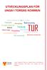 TUR UTVECKLINGSPLAN FÖR UNGA I TORSÅS KOMMUN. Fritidsråd. Skolrenovering. Provschema Resurscentrum. Frukostpaket Drogfria alternativ.