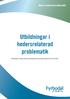 Hedersrelaterad problematik Utbildningar i hedersrelaterad problematik