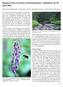 Rapport från Svenska Entomologmötet i Jämtland 28-30 juni 2002