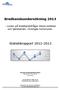 Bredbandsundersökning 2013. Statistikrapport 2012-2013