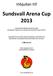Sundsvall Arena Cup 2013