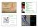 global handel, & jordbruk Title Jordens krympande biosfär 1900-2000 AD Body text närmar vi oss uthållighet? Ekosystem, handel & jordbruk