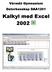 Värmdö Gymnasium Datorkunskap DAA1201. Kalkyl med Excel 2002