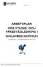 ARBETSPLAN FÖR STUDIE- OCH YRKESVÄGLEDNING I GISLAVEDS KOMMUN