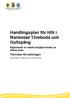 Handlingsplan för HIN i. Mariestad Töreboda och Gullspång