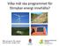 Vilka mål ska programmet för förnybar energi innehålla?