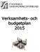 Verksamhets- och budgetplan 2015
