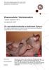 En reproduktionsstudie av kattrasen Sphynx En frågeformulärsbaserad undersökning med fokus på honkattens fortplantning från könsmognad till partus.