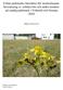 Urban parkmarks betydelse för insektsfaunan: Inventering av solitära bin och andra insekter på sandig parkmark i Veberöd och Genarp 2010