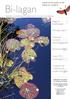 Bi-lagan. Bygg en trädmodell. Klimatprojekt. Nationalnyckelns. blomflugeguide. Bioresursdagar. Med GPS i skolskogen