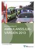 Behandlingsriktlinjer för AMBULANSSJUK- VÅRDEN 2013. Foto: Carl Johan Ludwig, Norrlandsflyg