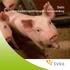 Svin djurskyddslagstiftningen i sammandrag