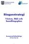 Biogasstrategi Vision, Mål och handlingsplan Kommunfullmäktige 2015-05-19