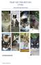 TRAP NEUTER RETURN (TNR)